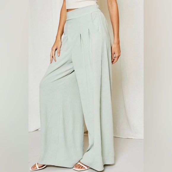 NWT WIDE LEG PLEATED PANTS - Picture 2 of 3